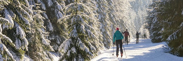 Langläufer auf einer Loipe im tief verschneiten Wald.